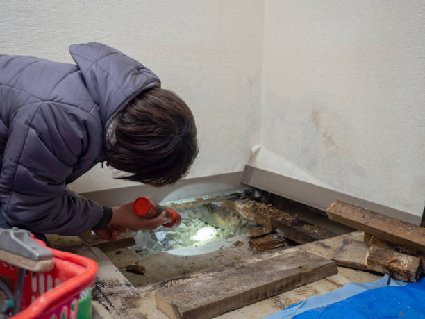 Best Mold Prevention Services  in Lake Camelot, WI