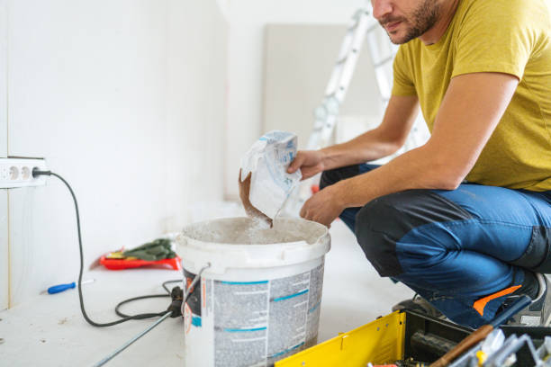 Trusted Lake Camelot, WI Mold Removal Experts