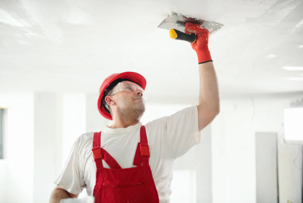 Best Emergency Mold Remediation  in Lake Camelot, WI