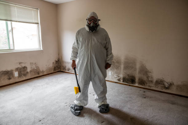 Best Air Quality Testing for Mold Spores  in Lake Camelot, WI